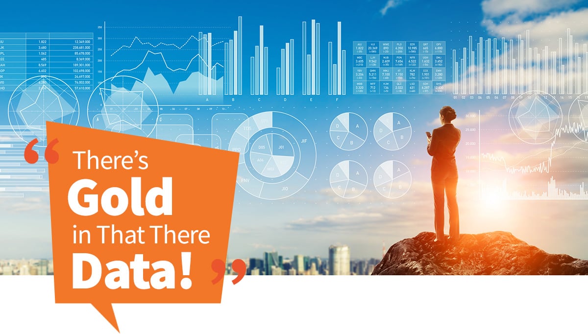 gold-in-that-data-top-image